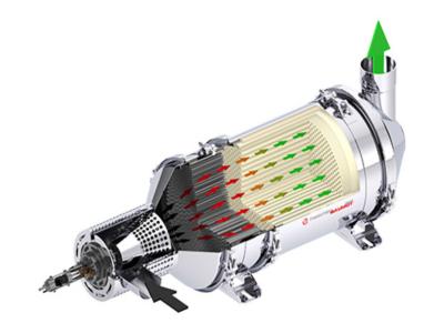 DPF-FLAME System